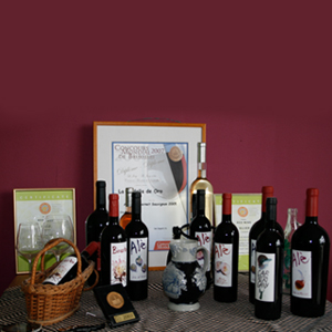 Organic wine from Mallorca Gourmet food from Spain Mariscal & Sarroca