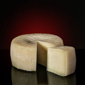 Asturian goat´s Cheese Gourmet food from Spain Mariscal & Sarroca