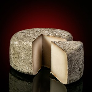 Goat´s Cheese from Albarracin Gourmet food from Spain Marisca & Sarroca