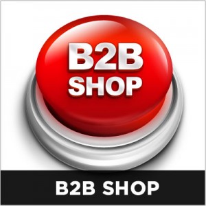 b2b-shop