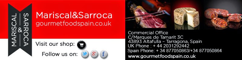 english-signature-mariscal&sarroca-gmail