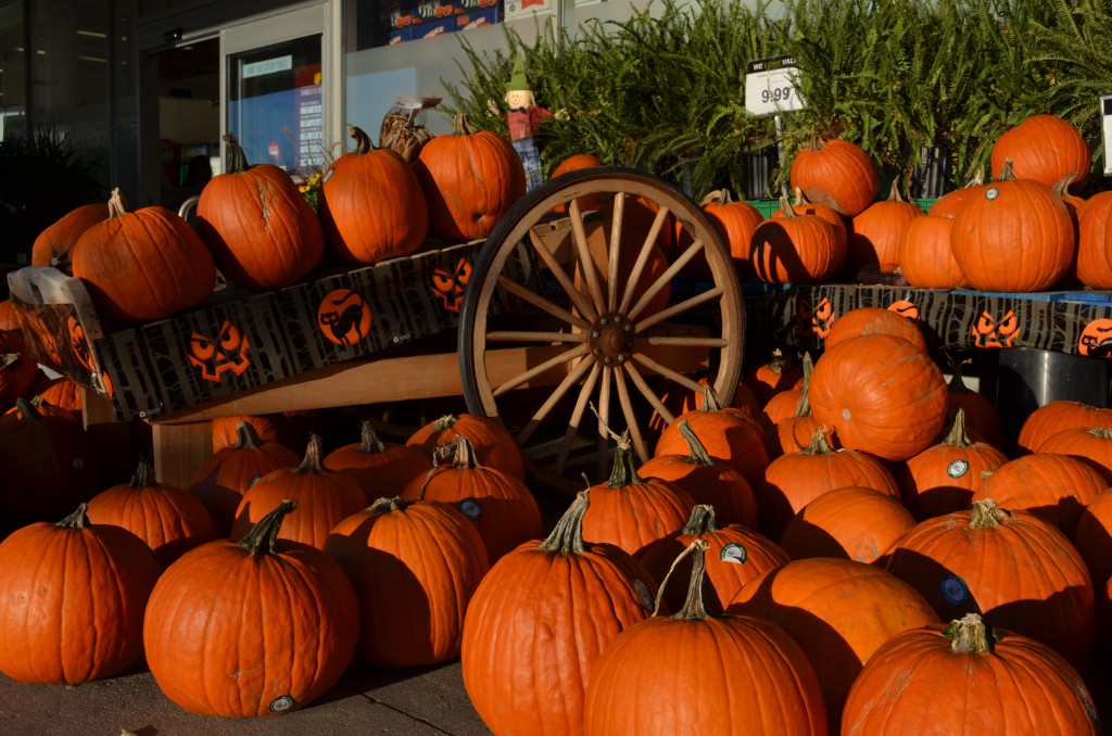 Halloween Pumpkin By Mariscal & Sarroca Halloween