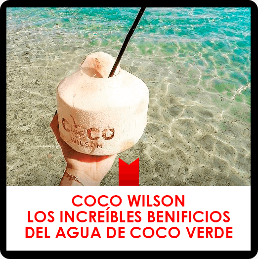 Coco Wilson y los increíbles beneficios del agua de coco verde