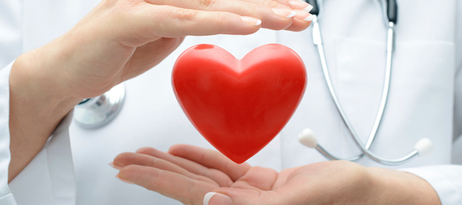 El azafrán combate las enfermedades cardiovasculares