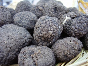 Black Truffle (Tuber Melanosporum)