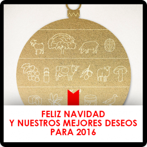 Feliz Navidad y nuestros mejores deseos para 2016